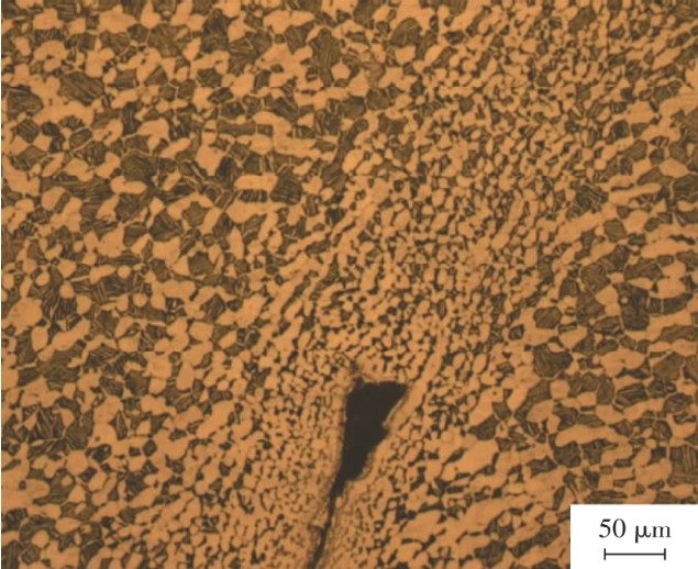 1713970195127087.jpg 7.jpg