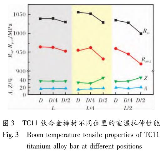 1708396681145269.jpg t3.jpg