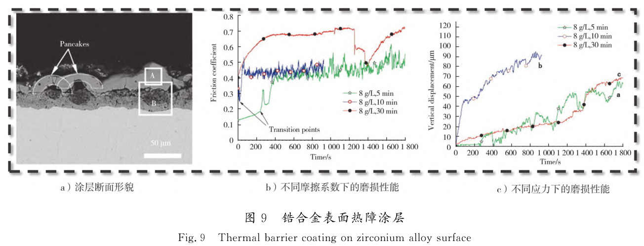 1729065294990019.jpg t9.jpg