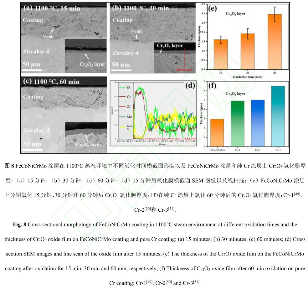 1729135238460761.jpg 8.jpg