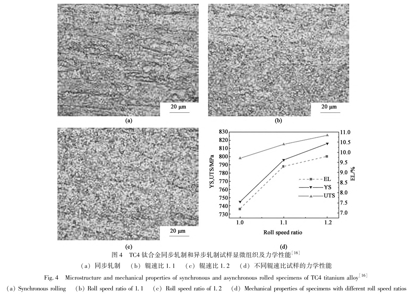 1729324321883426.jpg t4.jpg