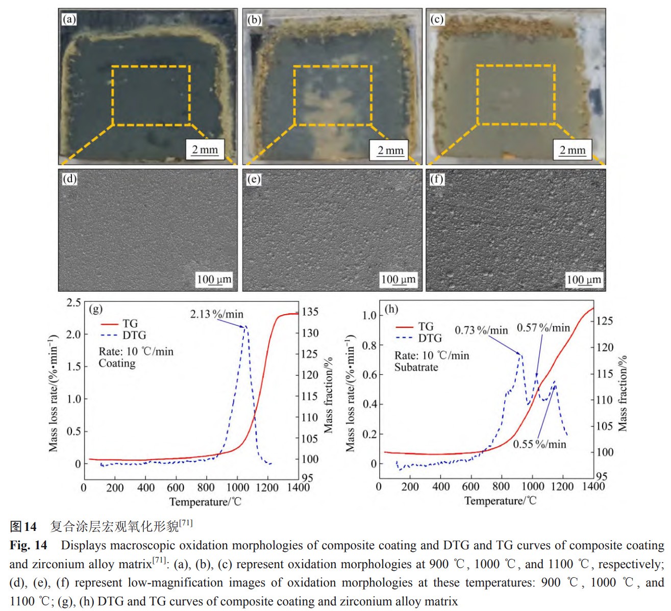 1734081919154181.jpg 14.jpg