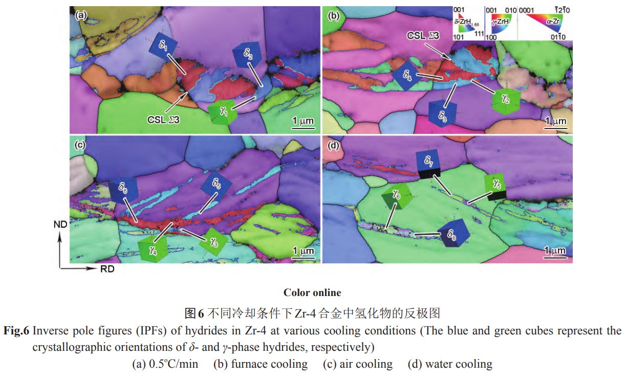 1734144483207887.jpg 6.jpg