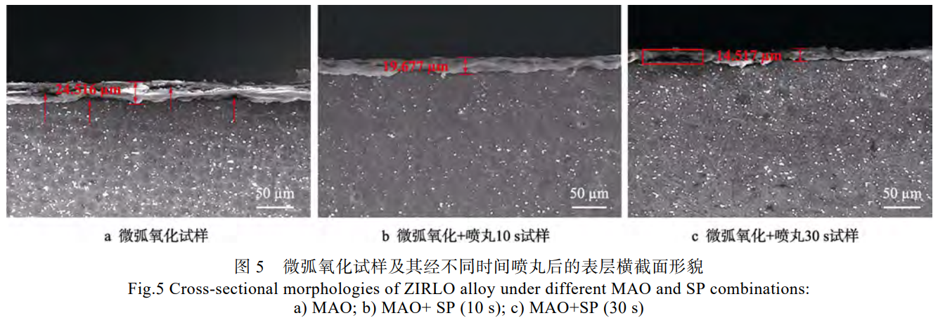 1735374023430403.png 截圖20241228161728.png