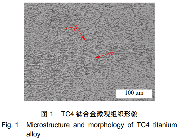 1735444047191037.png 截圖20241229113857.png